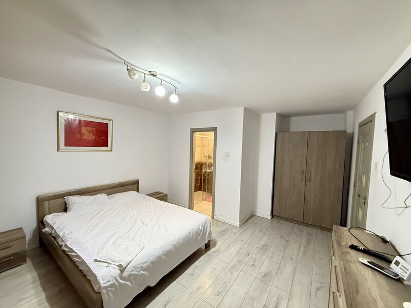 Piata Alba Iulia, apartament 2 camere decomandat, parter, 2 bai, centrala