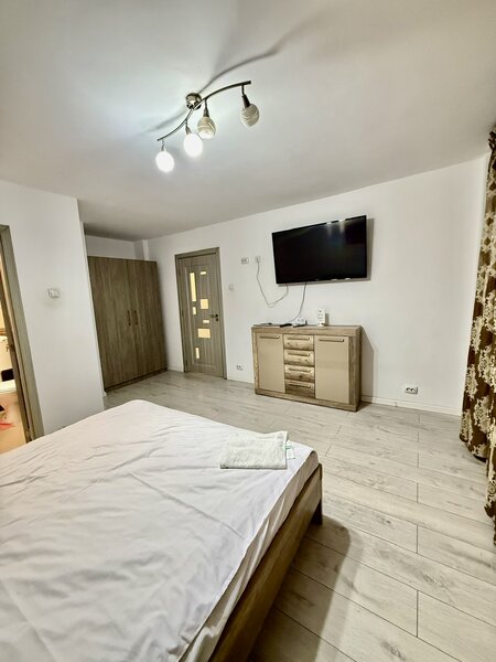 Piata Alba Iulia, apartament 2 camere decomandat, parter, 2 bai, centrala